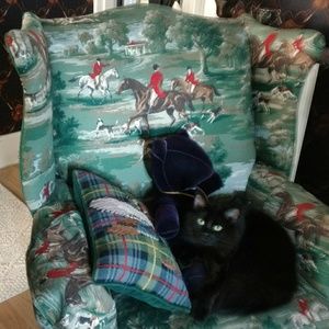 Meet your Posher, Ãassandra